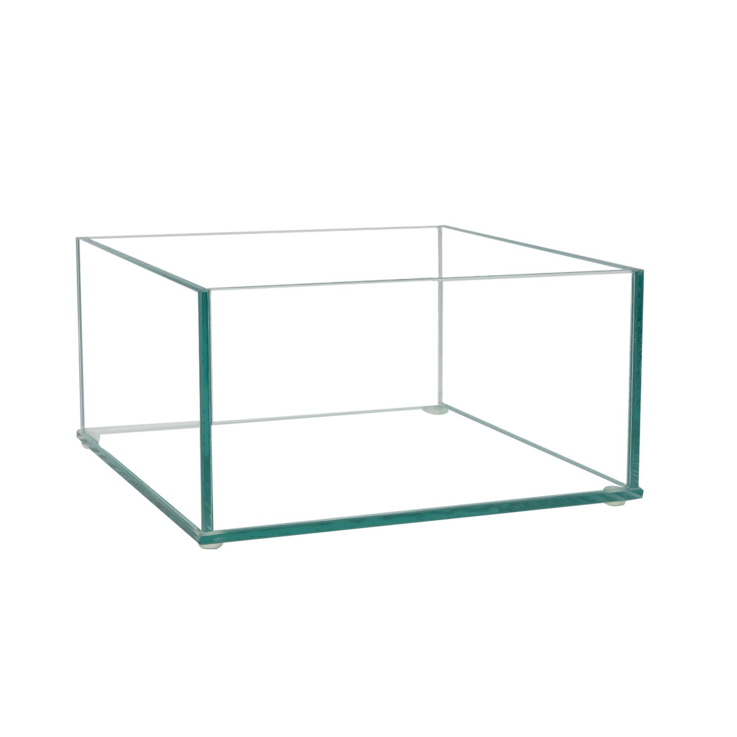 Photo 1 of Royal Imports Flower Glass Vase Decorative Centerpiece for Home or Wedding Low Square Plate Glass, 8"x8"x4"(H)