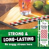 The Cheeky Panda Bamboo Paper Straws | 250 Coloured Straws Red Stripes view 3
