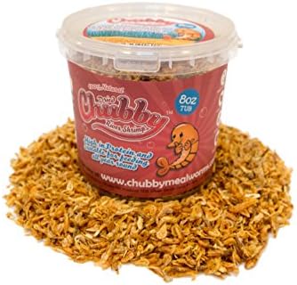Chubby 8oz Dried River Shrimp 100% Natural Treat for Aquatic Fish Such as Koi, Cichlid Pond Fish and Turtle/Terrapin Food