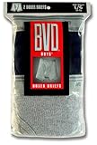 BVD Big Boys 2-pack Extended Legs Boxer Brief   #2VEL71B