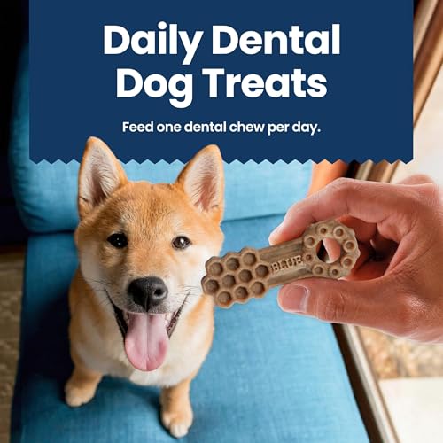 BLUE BUFFALO DENTAL CHEWS LARGE NATURAL DOG TREATS, CHICKEN & SPEARMINT 11-OZ BAG (7 COUNT)