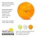 Pickleballs - 1 Dozen Orange Dura Pickleballs.