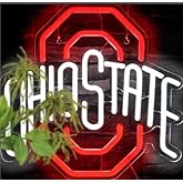 WINONDE Football Neon Signs for Wall Decor University Football Team Neon Lights for Bedroom Led Signs Suitable Christmas Gift