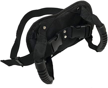 motorcycle passenger grab belt