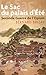 Le sac du palais d'Eté : Second guerre de l'opium, L'expédition anglo-française en Chine en 1860 by