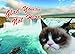 Grumpy Cat Postcard Book: 30 Postcards, Unlimited Frowns