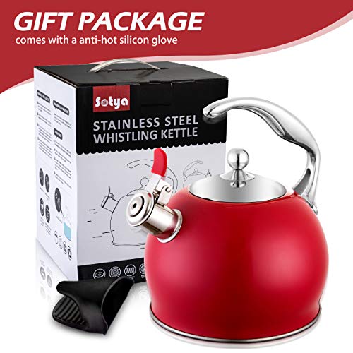 Tea Kettle Best 3 Liter induction Modern Stainless Steel Surgical