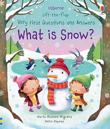 What is Snow? 0794544029 Book Cover