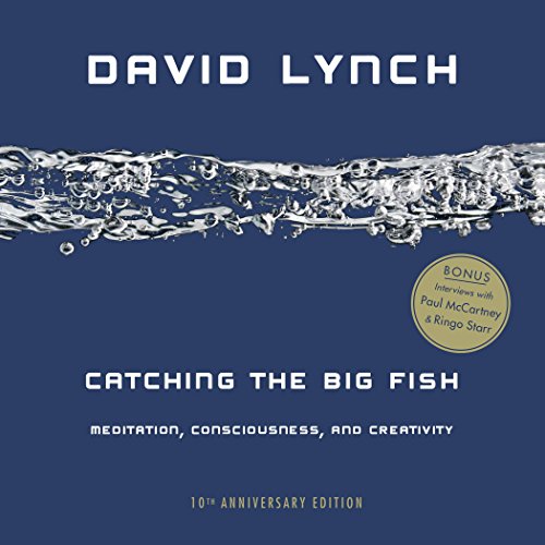 Cover of Catching the Big Fish