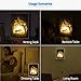 Papercut Light Boxes, Night Light Lamp of Creative Light Paintings - Fairy Butterfly (Unicorn)