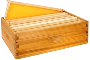BEEINN 8 Frame Bee Hive Box, Langstroth Medium Super Bee Box Dipped in 100% Beeswax Include Beehive Frames and Waxed Foundation Sheets (Unassembled)