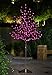 Lightshare 6Ft 208L LED Rose Flower Tree, Home Garden/Summer/Wedding/Birthday, Christmas, Festival, Party Indoor and Outdoor Use,Warm White