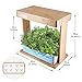 Hydroponics Growing System Kit LED Plant Grow Light, Hydroponics Indoor Gardening Kit Herb Seed Pod Kit, Nutrients, Seeds Not Included (8pot)thumb 4