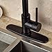 Rozin Single Hole Pull Down Sprayer Kitchen Sink Faucet Deck Mount Mixer Tap with 8