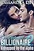 A Baby for the Billionaire 2: His Island Paradise