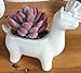 Youfui Cute Animal Succulent Planter Flower Pot Decor for Home Office Desk (Alpaca)