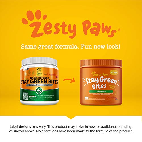 1 Grass+Burn+Spot+Chews+Dogs