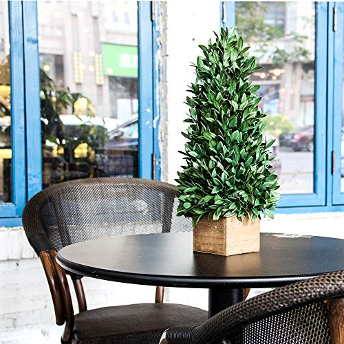 image for Jusdreen 20 Inch Spring Artificial Flower Potted Plants Bonsai Tree Or