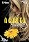 Livro A Garota e o Jogador: Entre o Amor e a Fama