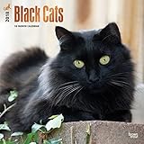 Black Cats 2018 12 x 12 Inch Monthly Square Wall Calendar with Foil Stamped Cover, Animals Cats by 