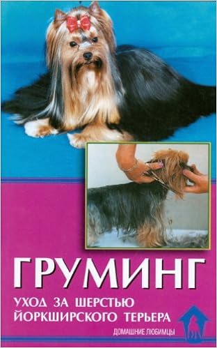 Grooming Hair Care For Yorkshire Terrier Gruming Ukhod Za Sherstyu