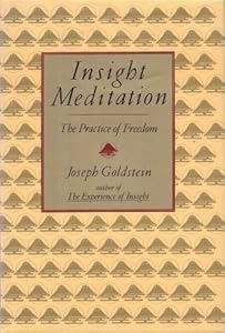 Insight Meditation by Joseph Goldstein (1993-10-12)