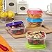 Fit & Fresh Small Plastic Containers With Lids 8 oz, Small Snack Containers With Lids, Reusable Leakproof Dressing and Condiment Containers With Two Attachable Ice Packs, 4PK, Light