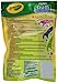 GUM Crayola Kids’ Flossers, Grape, Fluoride Coated, Easy Grip Handle, Ages 3+, 40 Count