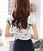 Double Plus Open DPO Women's Chiffon Collared Floral Printed Button Down Shirt Short Sleeve 10