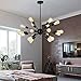 Electro bp; Vintage Metal Sputnik Large Chandelier Edison Light Fixture Industrial Starburst Lighting with 18-Lights Black Paint Finished