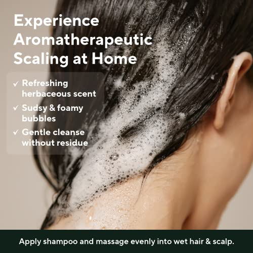 AROMATICA Cypress Deep Cleansing Shampoo 13.53fl.oz. / 400ml Vegan