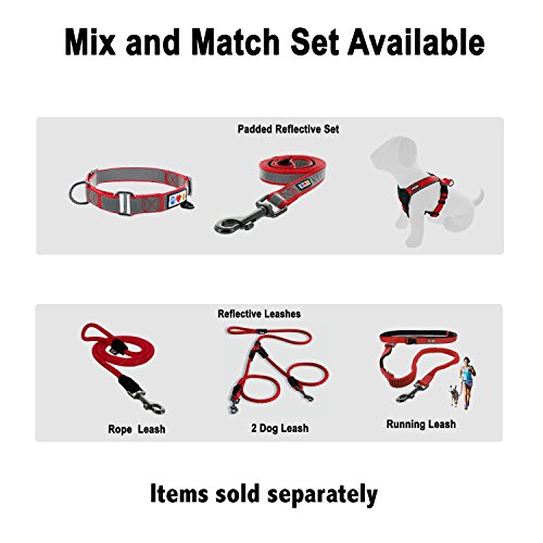 Pawtitas Pet Reflective Adjustable Soft Dog Collar Martingale Training Teal Medium 3/4 inch