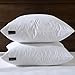 20x20 Square Down Feather Pillow Inserts-Set of 2-100% Cotton Fabric- White