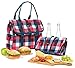 PackIt Freezable Picnic Tote, Buffalo Check