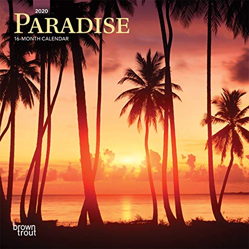 Paradise 2020 7 x 7 Inch Monthly Mini Wall Calendar, Scenic Travel Nature Beach by BrownTrout Publishers Inc.