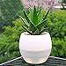 Mkono 3 Pack Self Watering Planter Plastic Flower Pot 5 Inch (Mixed Colors)