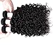 Water Wave Human Hair 3 Bundles 12 14 16 Inch 100% Unprocessed Human Hair Extensions For Women 100g/bundles 8A Brazilian Wet and Wavy Water Curly Human Hair Bundles Natural Black Color shuangya Hair