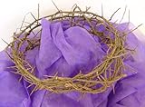 Authentic Crown of Thorns- Real Life Size