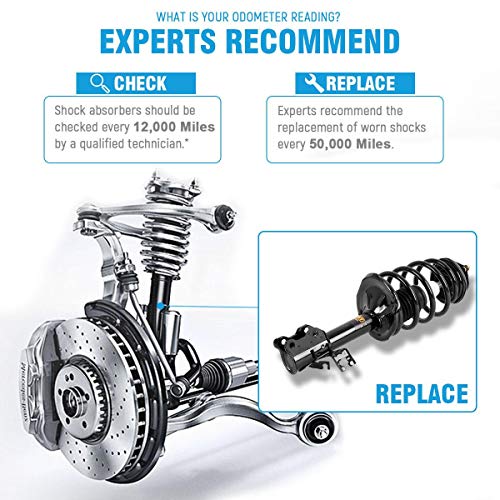 Front Pair Complete Shocks Struts For 2002 2003 2004 2005 2006 Nissan