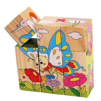 Jack Royal Kids Qiaolinglong Wooden Block Puzzle (Multicolour, 9 Piece Colorful)