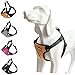 BINGPET No Pull Dog Harness Reflective for Pet Puppy Freedom Walking Large Orange