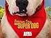 Rescue Dog To Super Dog Season 1
