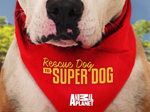Rescue Dog To Super Dog Season 1