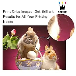 AceInk Compatible LC3019 XXL 2 Packs Black Ink