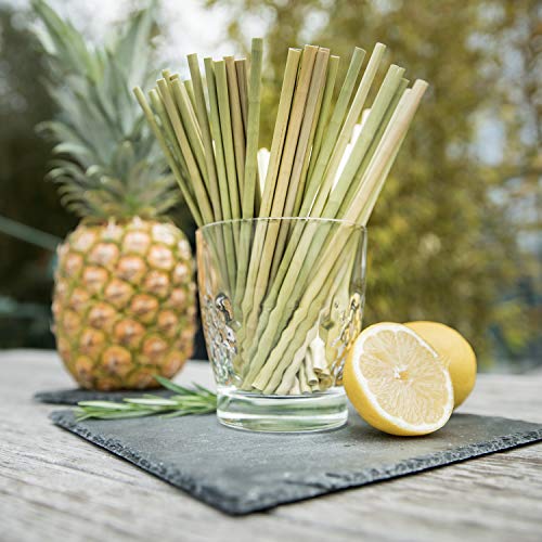 Strawmee Green Straws, Bio Gastronomie Trinkhalme, ideal für Bars, Restaurants, Hotels und Cafés, plastikfrei, Einweg… – Bild 7