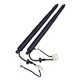 Hodflop 68910-0E070 68920-0E050 Pair Rear Tailgate