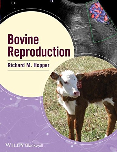 Download Bovine Reproduction Pdf Richard M Hopper Pyoupalbralips