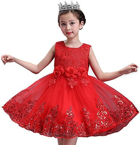 Haggai Bow Girl Dress Lace 3D Flower Tutu Summer Princess Sleeveless Party Dresses Kid Floral Tulle Wedding (3T, Red)