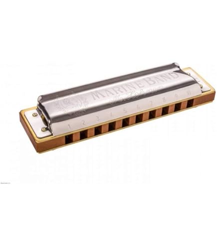 Amazon.com: Hohner 1896BX-A Marine Band in box - A : Musical
