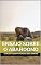 Livro Ensaio sobre o abandono